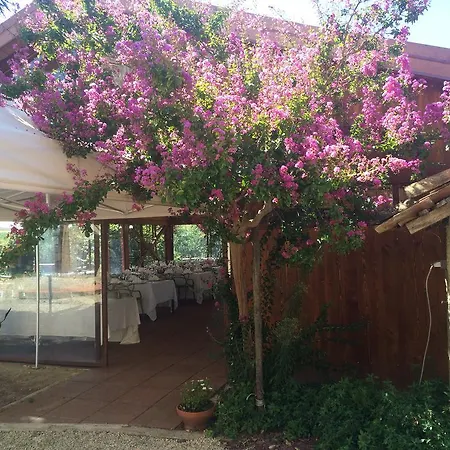 Farm stay Agriturismo Ristorante Albachiara *