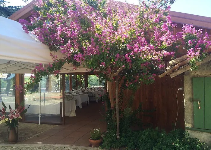 Hotel Agriturismo Ristorante Albachiara *